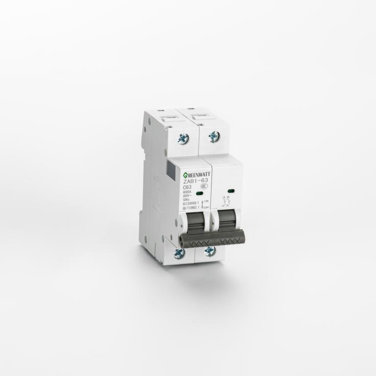 AC-Leistungsschalter Kurve C 10A 2P 6kA