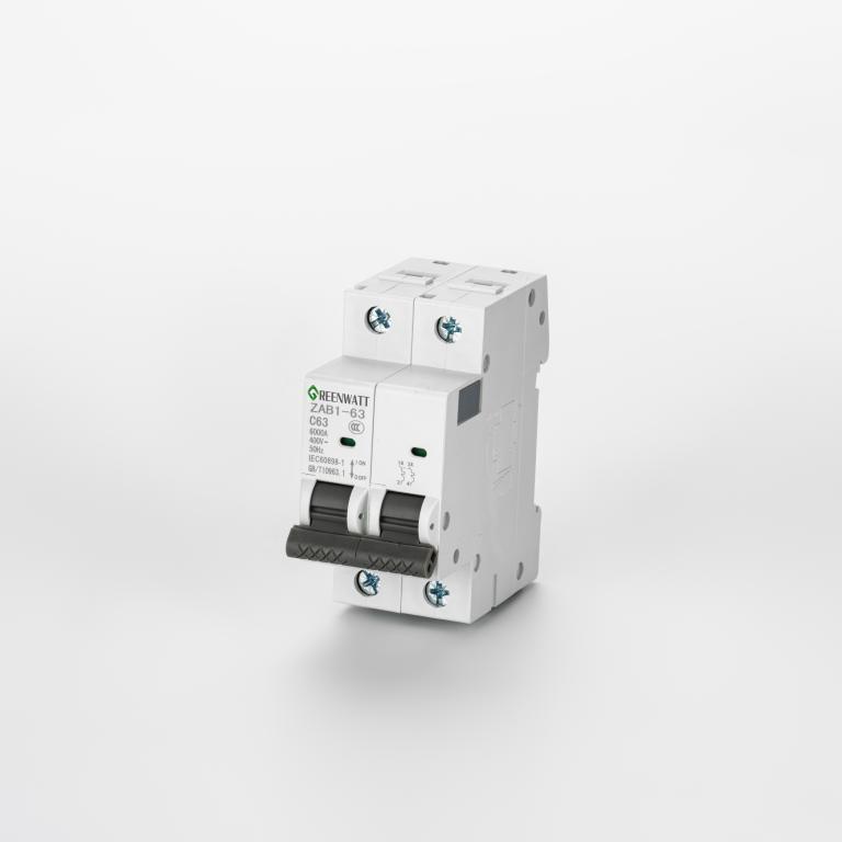 AC-Leistungsschalter Kurve C 40A 2P 6kA