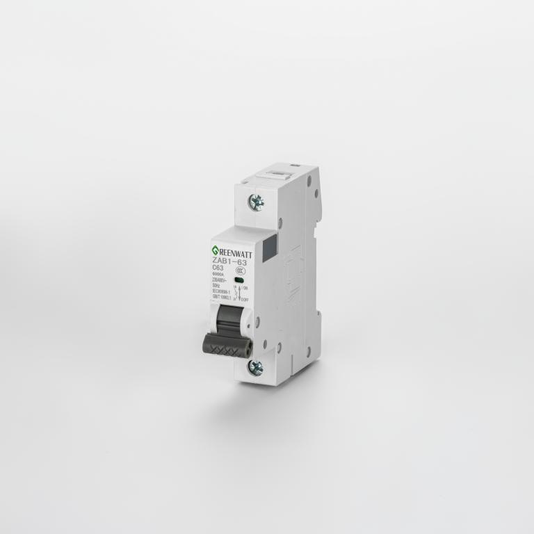 AC-Leistungsschalter Kurve C 63A 1P 6kA